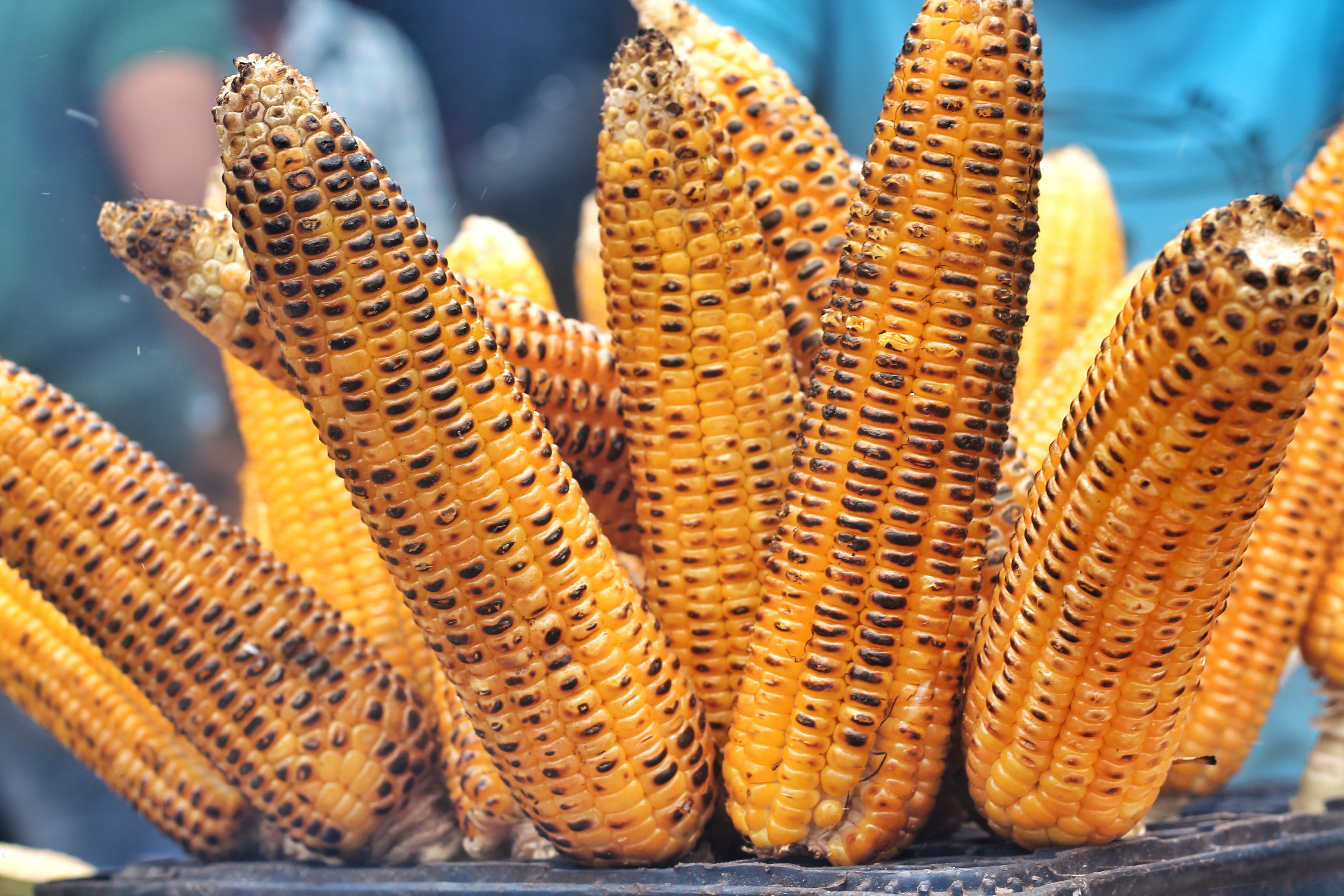 roast corn