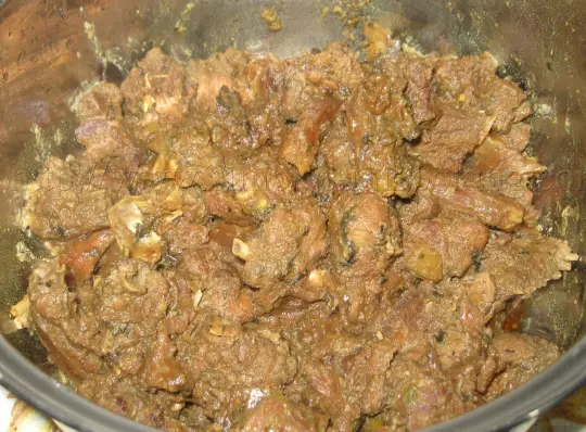 curry stew agouti