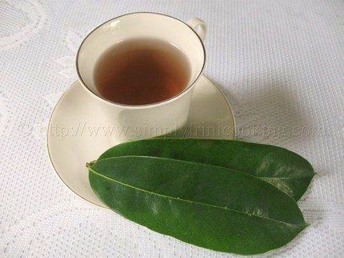 Soursop Leaf Tea A Wonder Tea